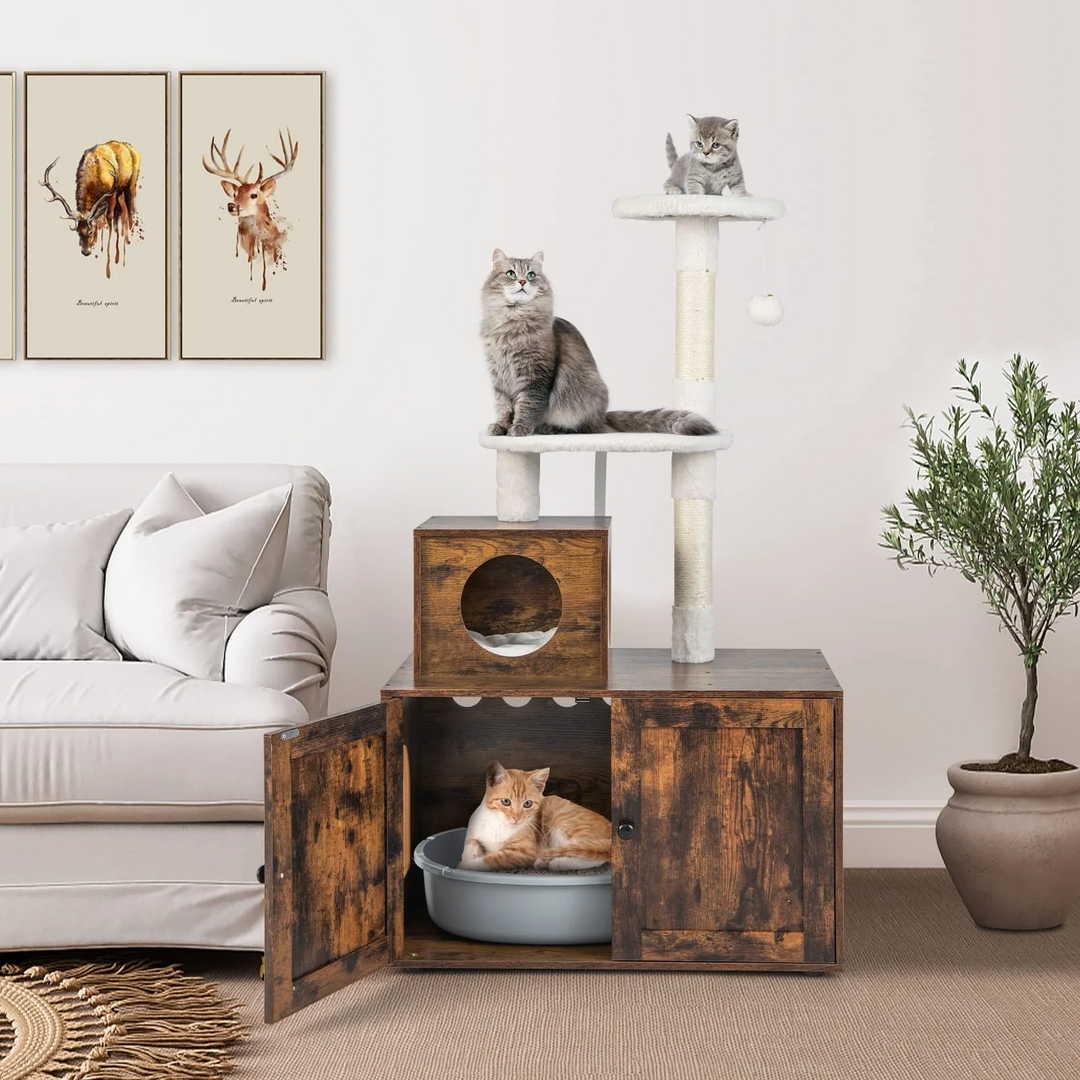 What You Need To Prepare To Keep A Pet Cat?