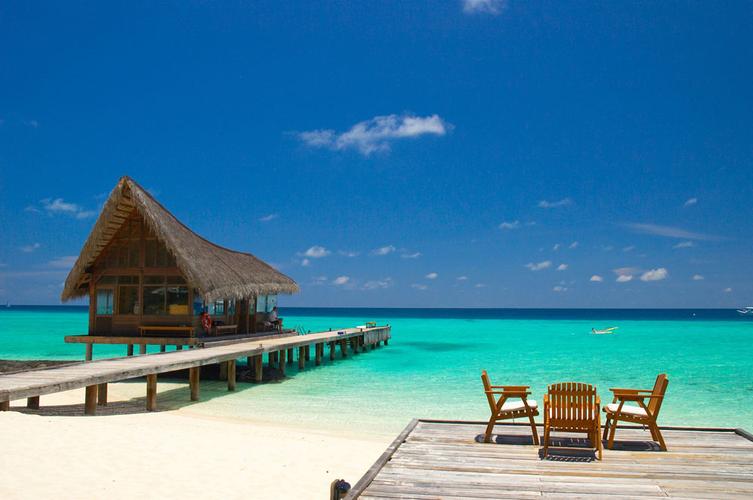 Enjoy Happy Summer Vacation !