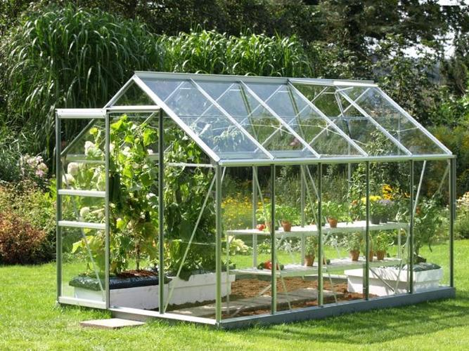 Greenhouse: Find A Warm Place for Plants