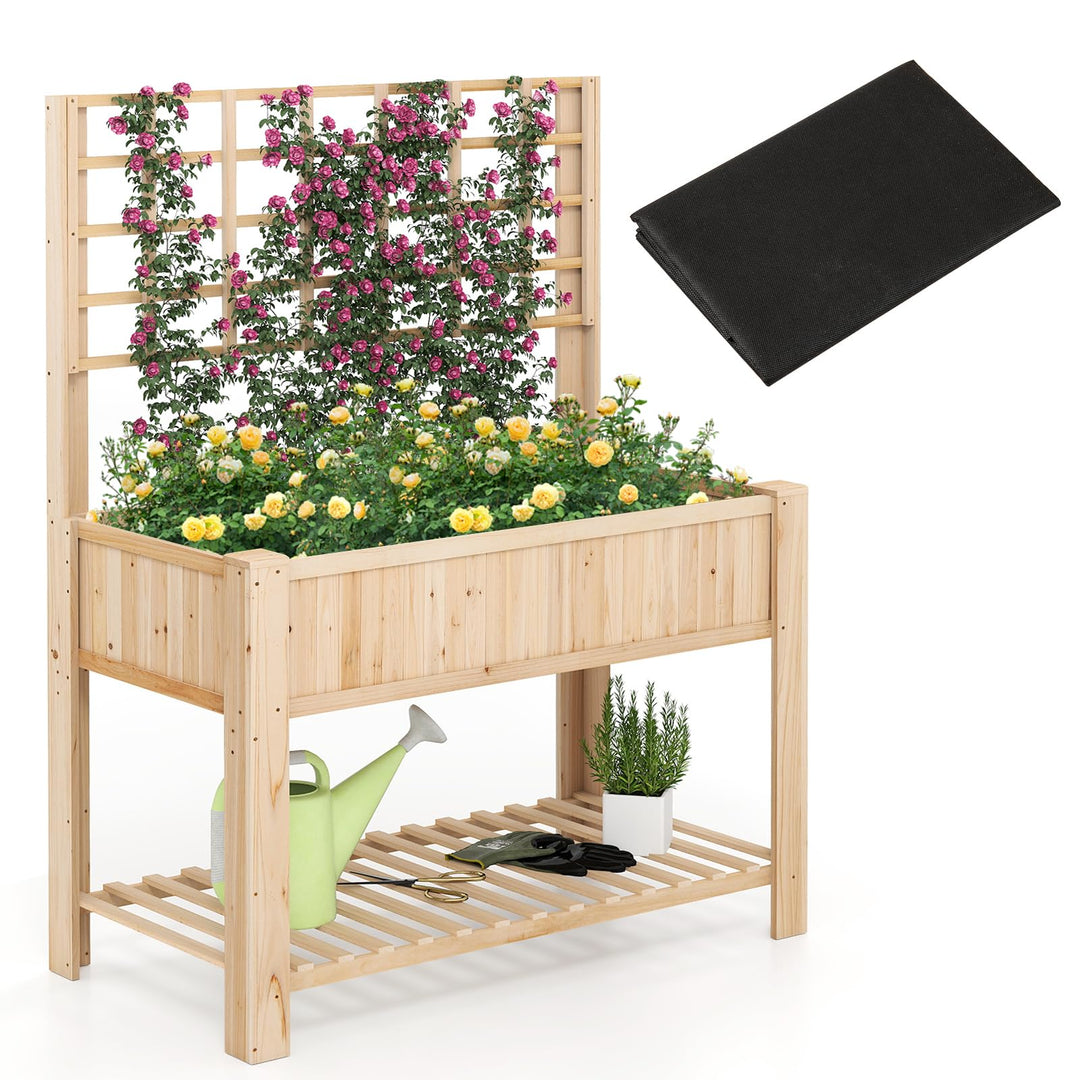 Giantex Raised Garden Bed with Trellis