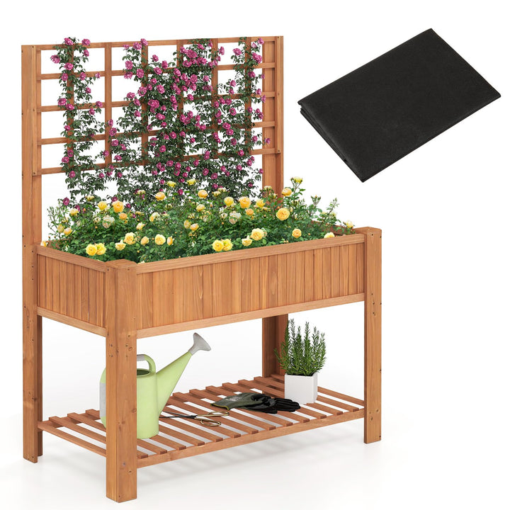 Giantex Raised Garden Bed with Trellis