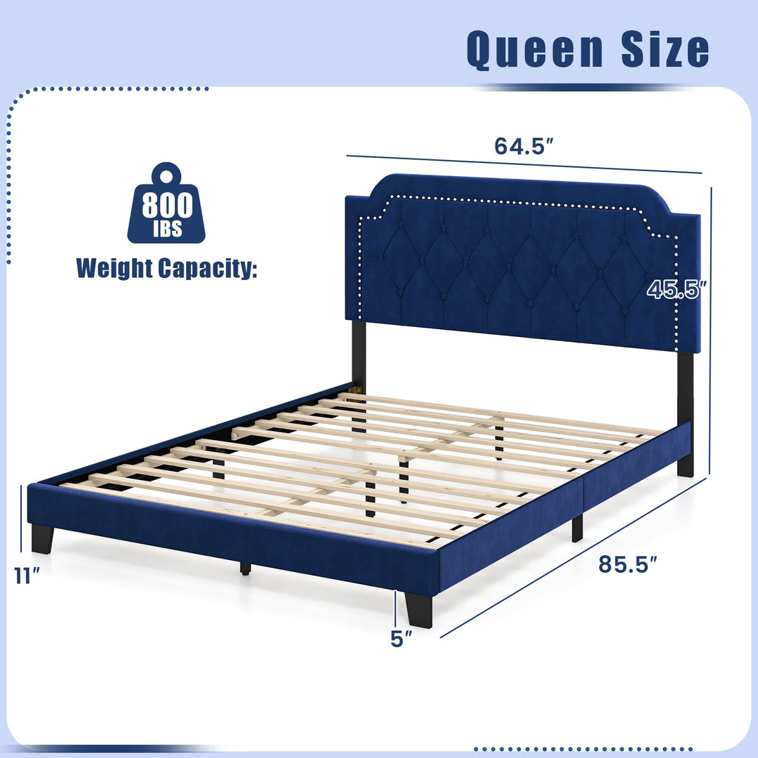 Giantex Velvet Queen Size Bed Frame, Upholstered Platform Bed with Button Tufted &amp; Nailhead Trim Headboard