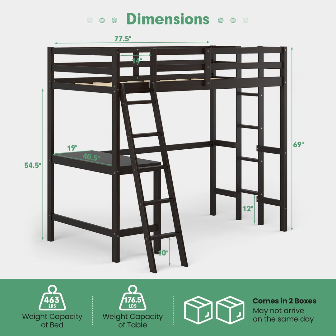 Giantex Twin Size Loft Bed with Desk, Solid Wood Loft Bed with 2 Ladders &amp; Full Length Guardrail