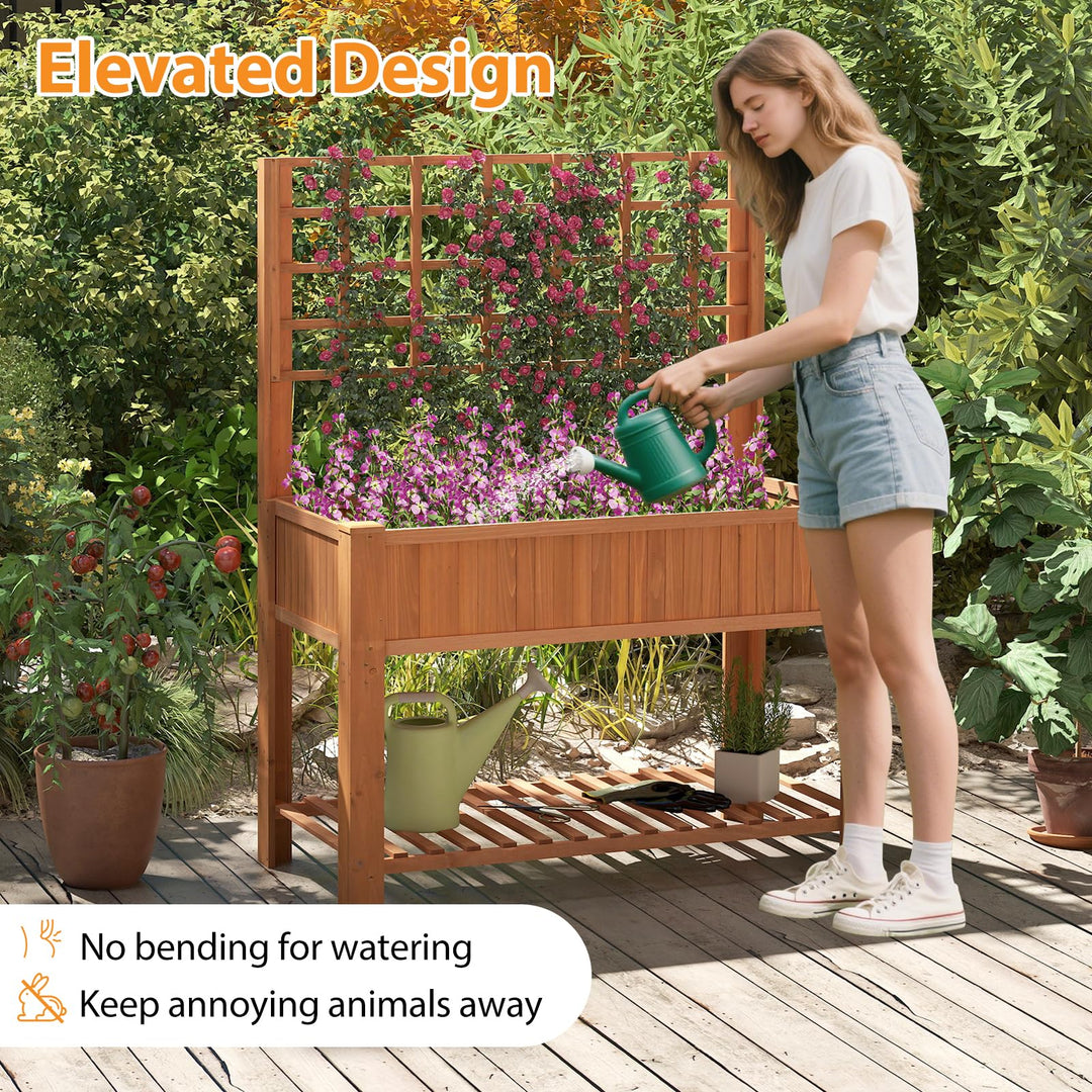 Giantex Raised Garden Bed with Trellis