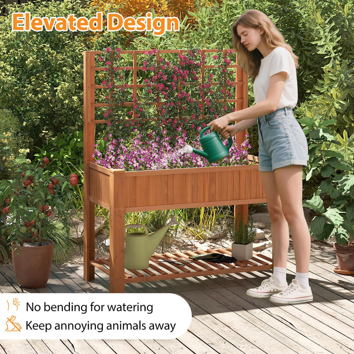 Giantex Raised Garden Bed with Trellis