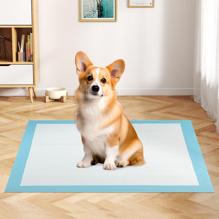 Giantex Dog Pee Pads 150/300 Count 36" x 24" Large Training Pads for Dogs