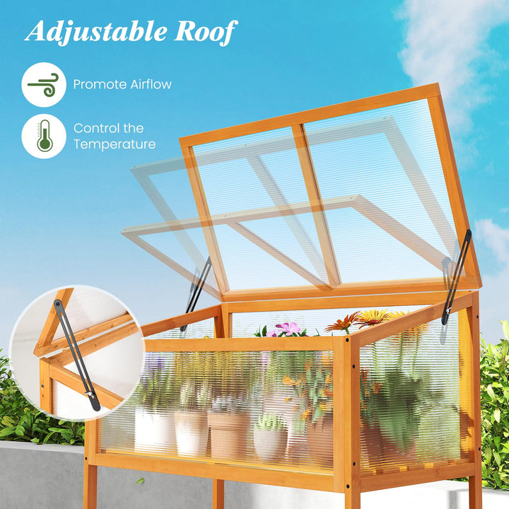 Giantex Wood Cold Frame Greenhouse with Transparent Openable Roof &amp; Slatted Shelf