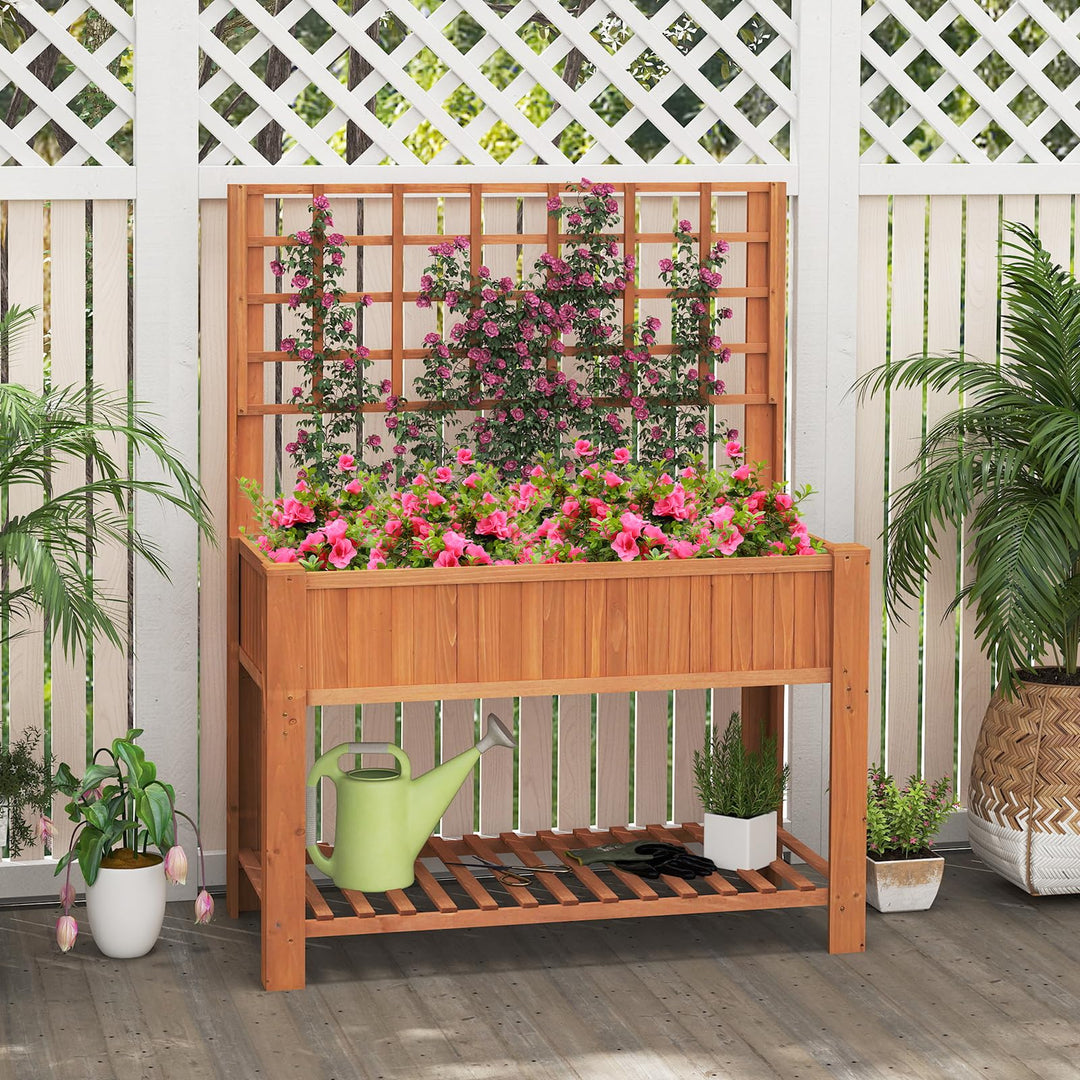 Giantex Raised Garden Bed with Trellis
