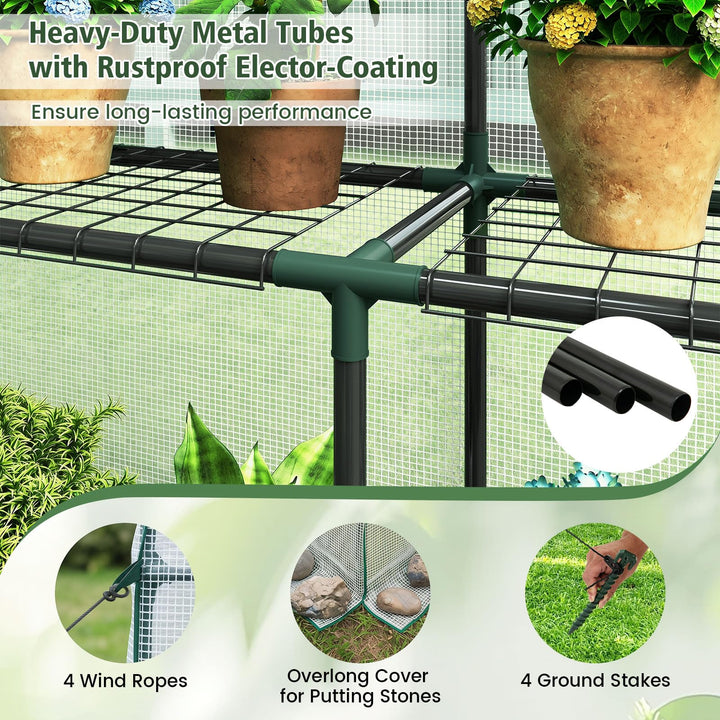 Giantex 57”L x 57”W x 77”H Walk-in Greenhouse for Outdoors