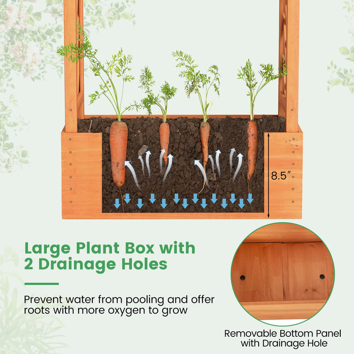 31" x 12.5" x 60" Raised Garden Bed with 2-Sided Trellis &amp; Hanging Roof