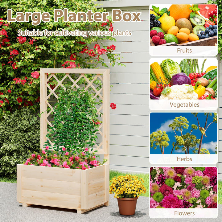 Giantex Raised Garden Bed with Trellis (1/2)