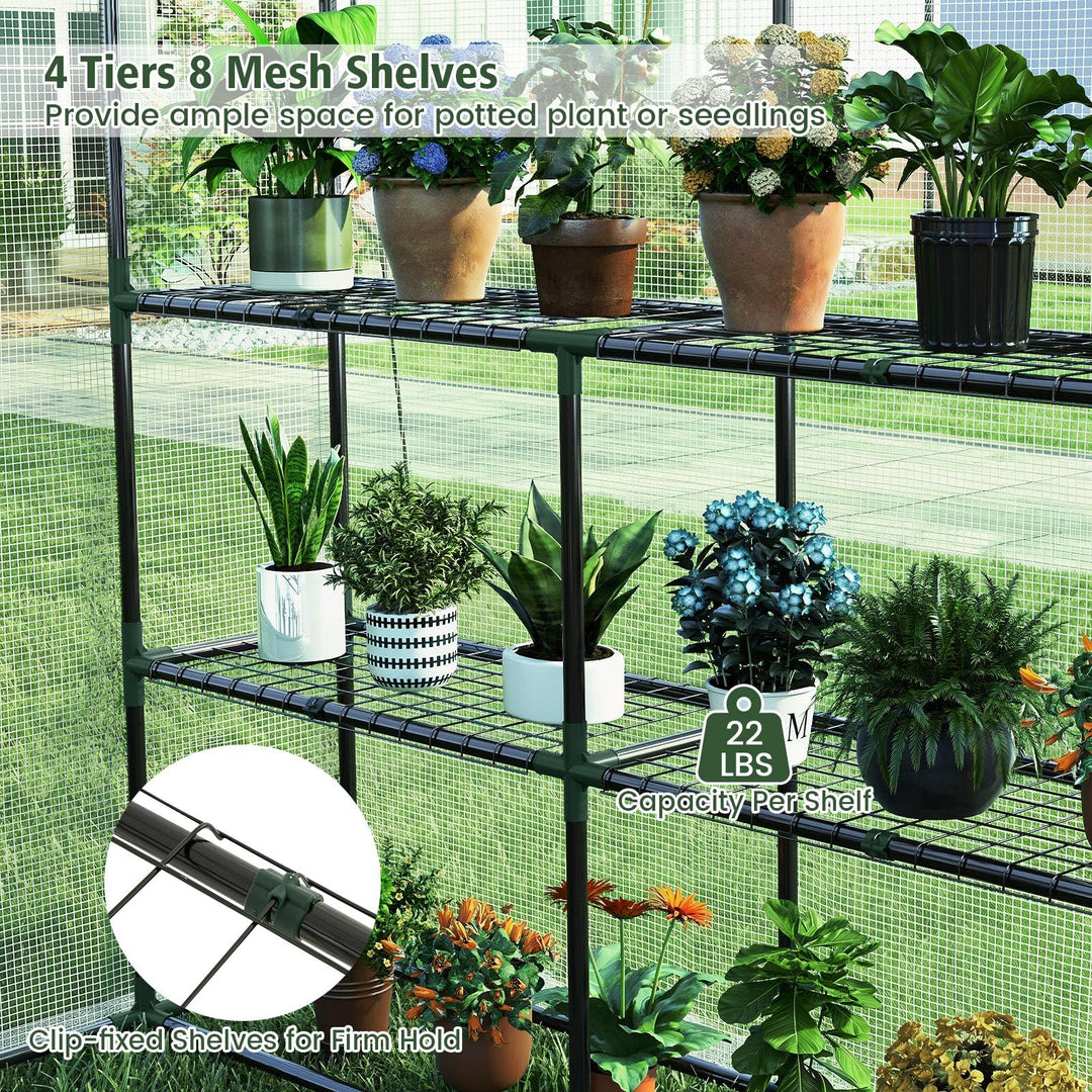 Giantex 57”L x 57”W x 77”H Walk-in Greenhouse for Outdoors