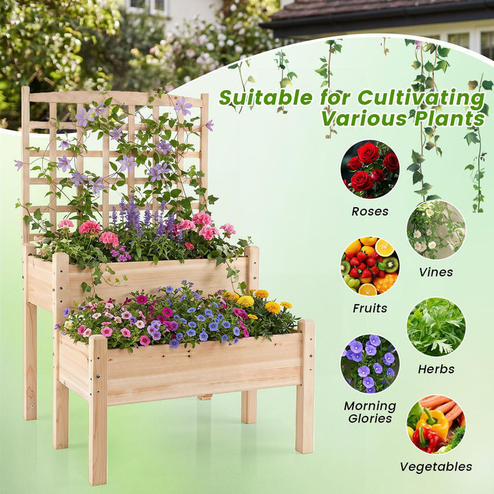 Giantex 2-Tier Raised Garden Bed with Trellis for Climbing Plants