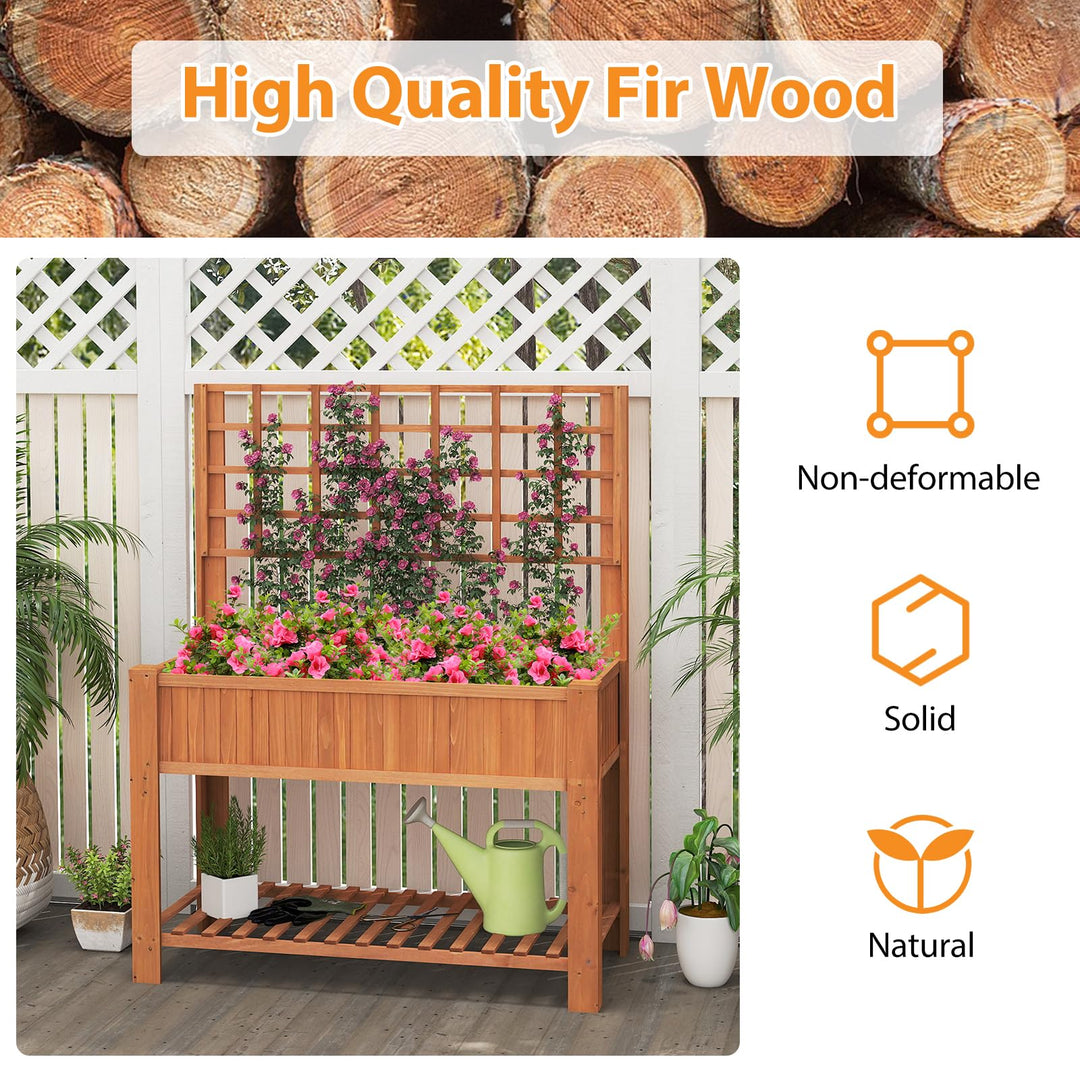 Giantex Raised Garden Bed with Trellis