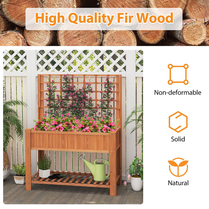Giantex Raised Garden Bed with Trellis