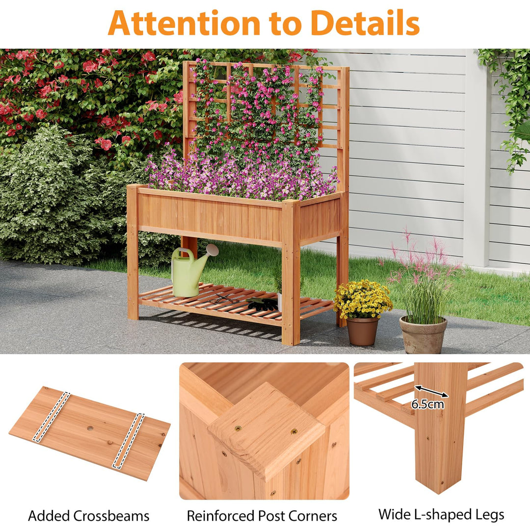 Giantex Raised Garden Bed with Trellis