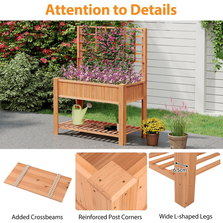 Giantex Raised Garden Bed with Trellis