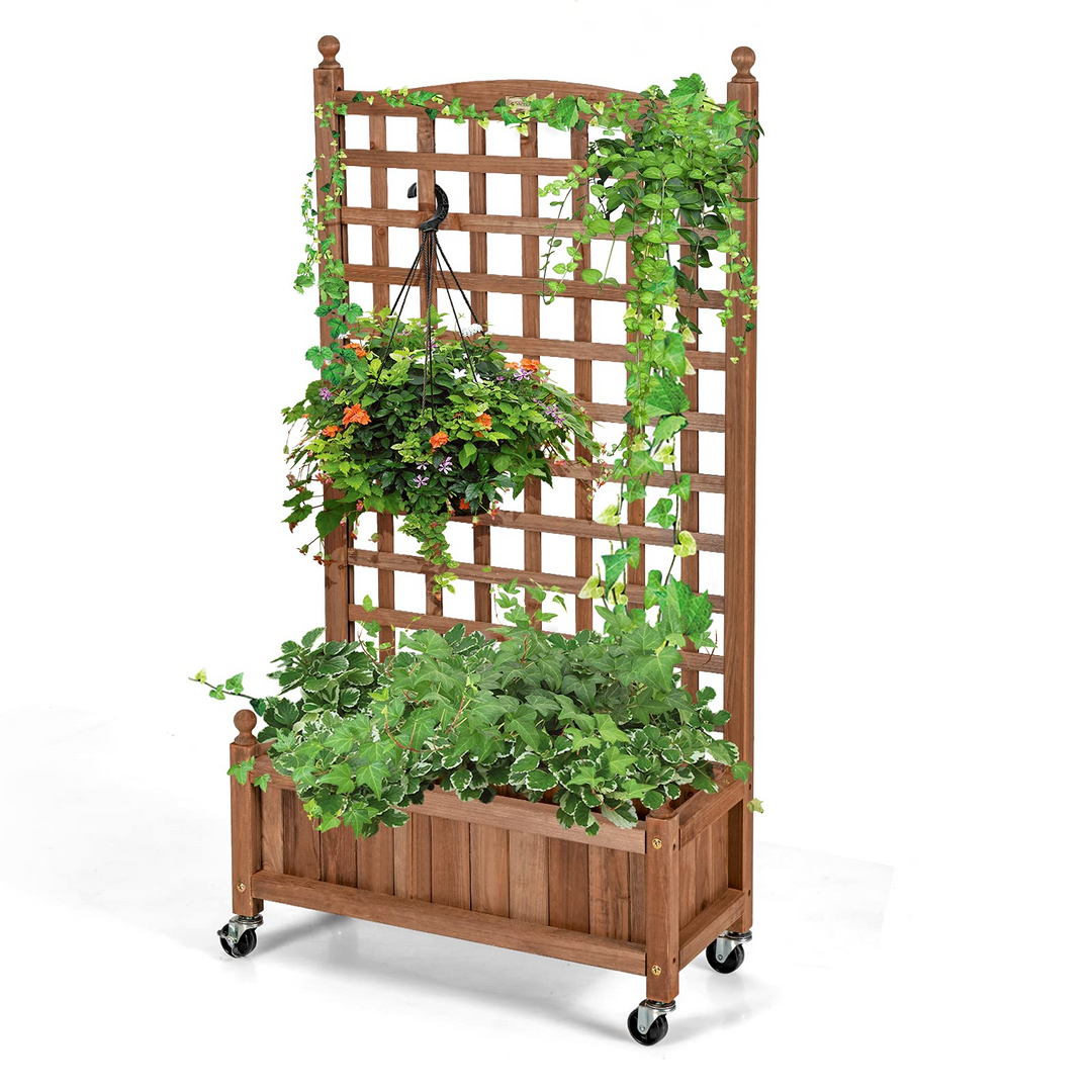 Flower Box for Plant Climbing (25&