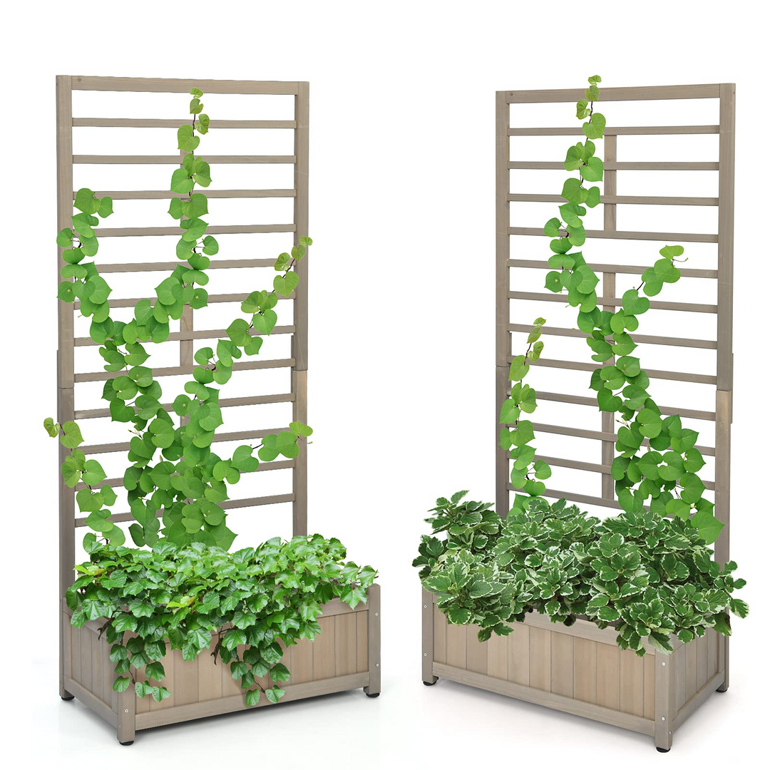 Plant Raised Bed with Trellis for Flower Climbing