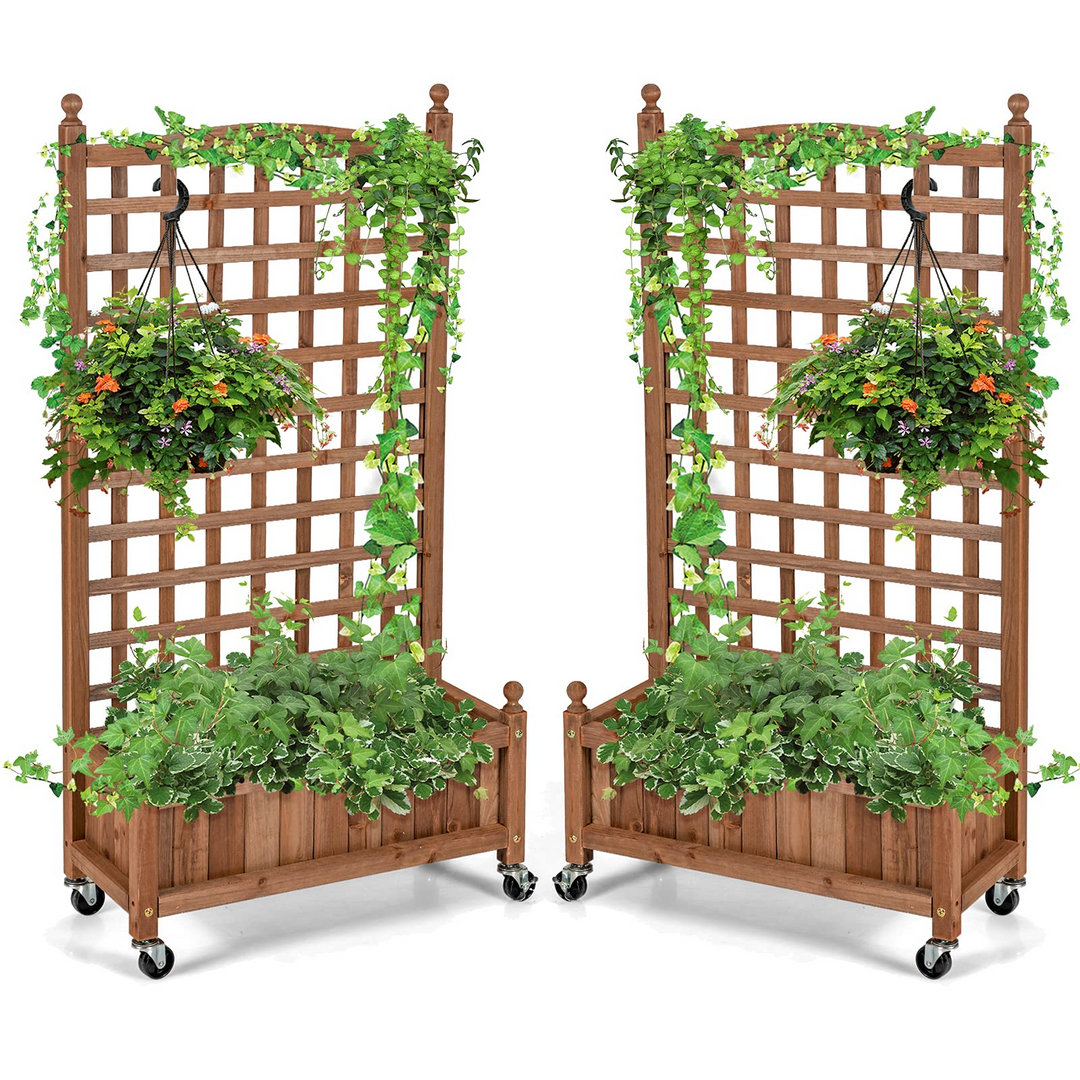 Flower Box for Plant Climbing (25&