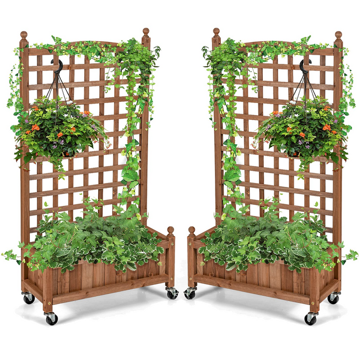 Flower Box for Plant Climbing (25&