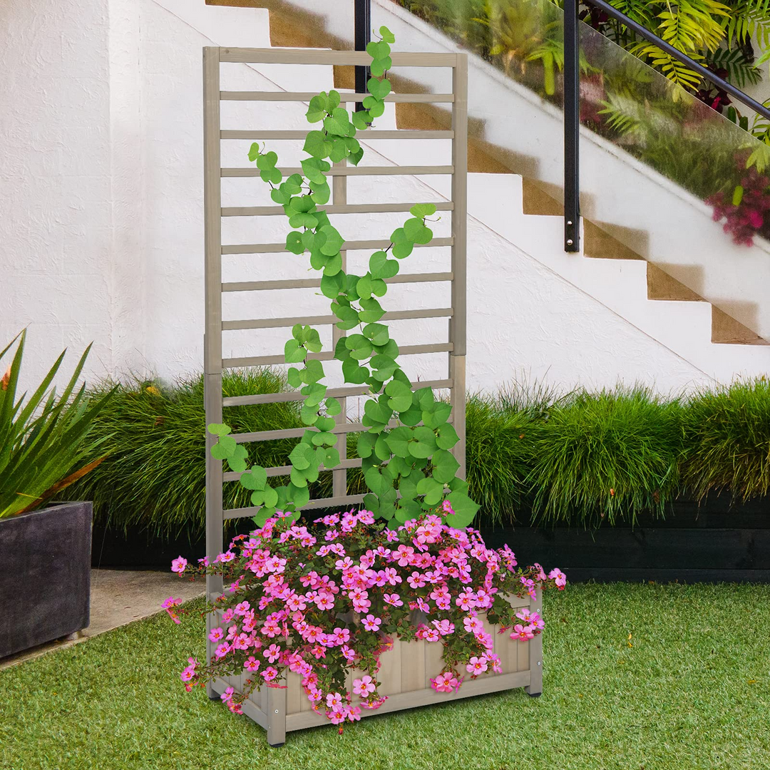 Plant Raised Bed with Trellis for Flower Climbing