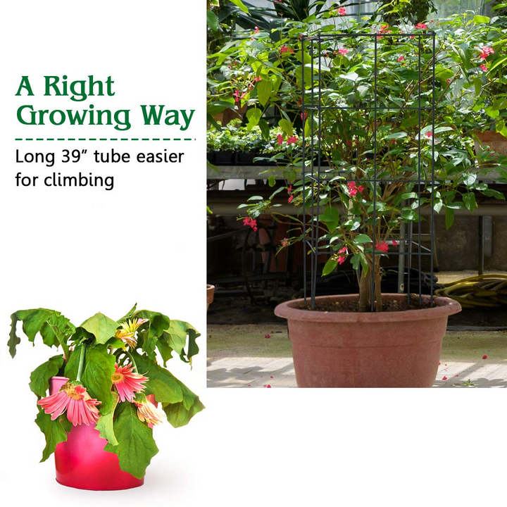 Giantex Pack of 4 Plant Cage Support, Tomato Stakes and Cages (16&