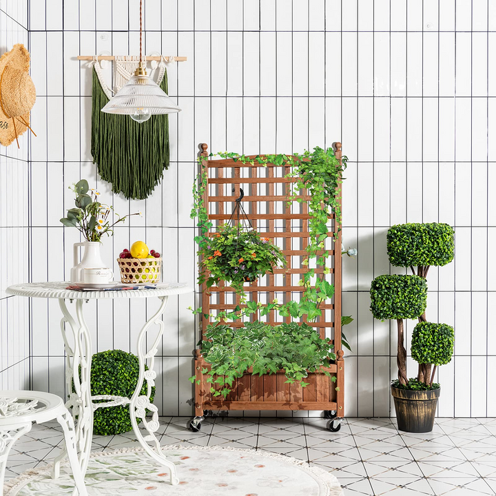 Flower Box for Plant Climbing (25&