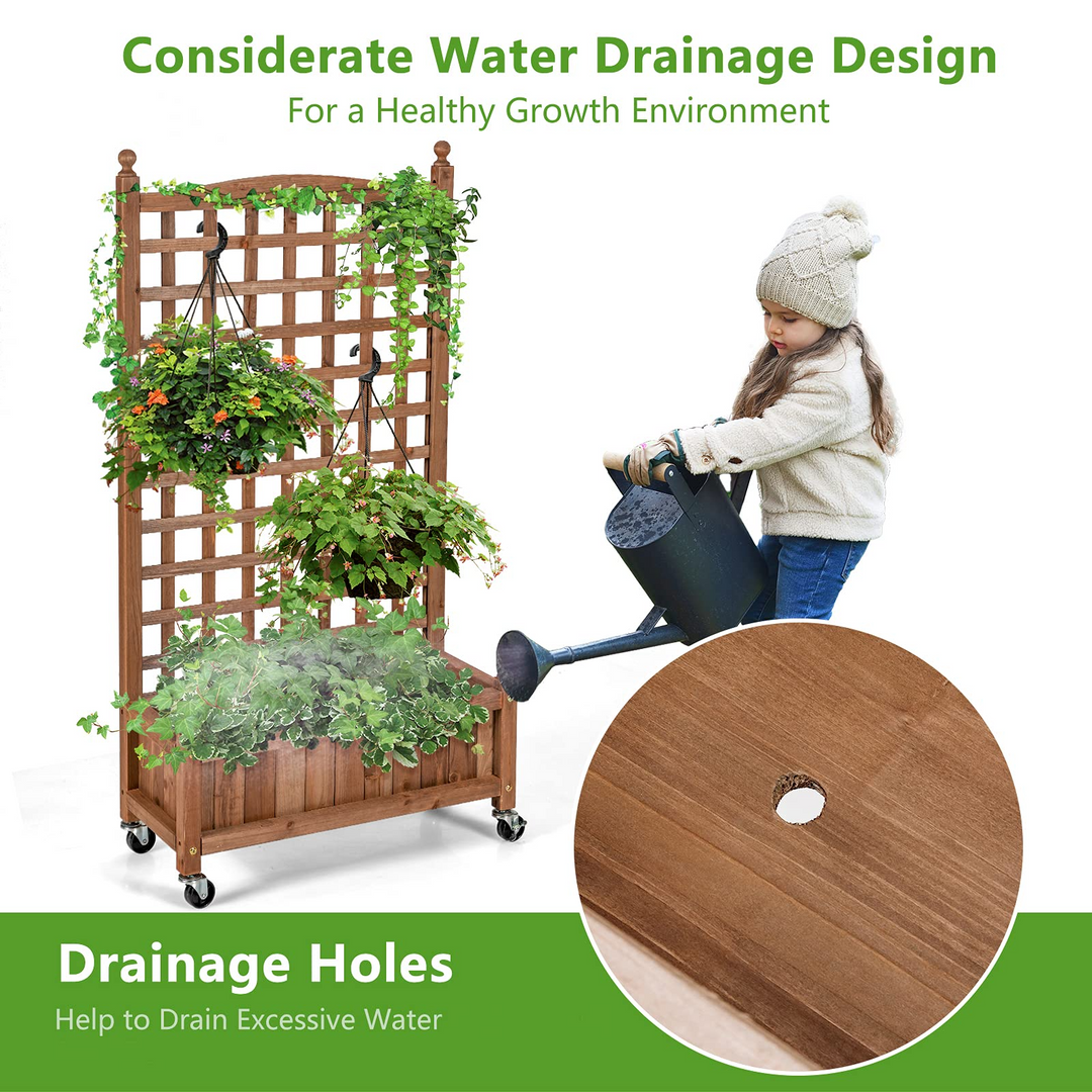 Flower Box for Plant Climbing (25&