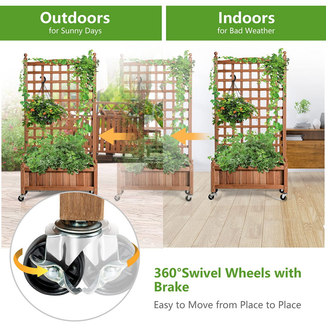 Flower Box for Plant Climbing (25&