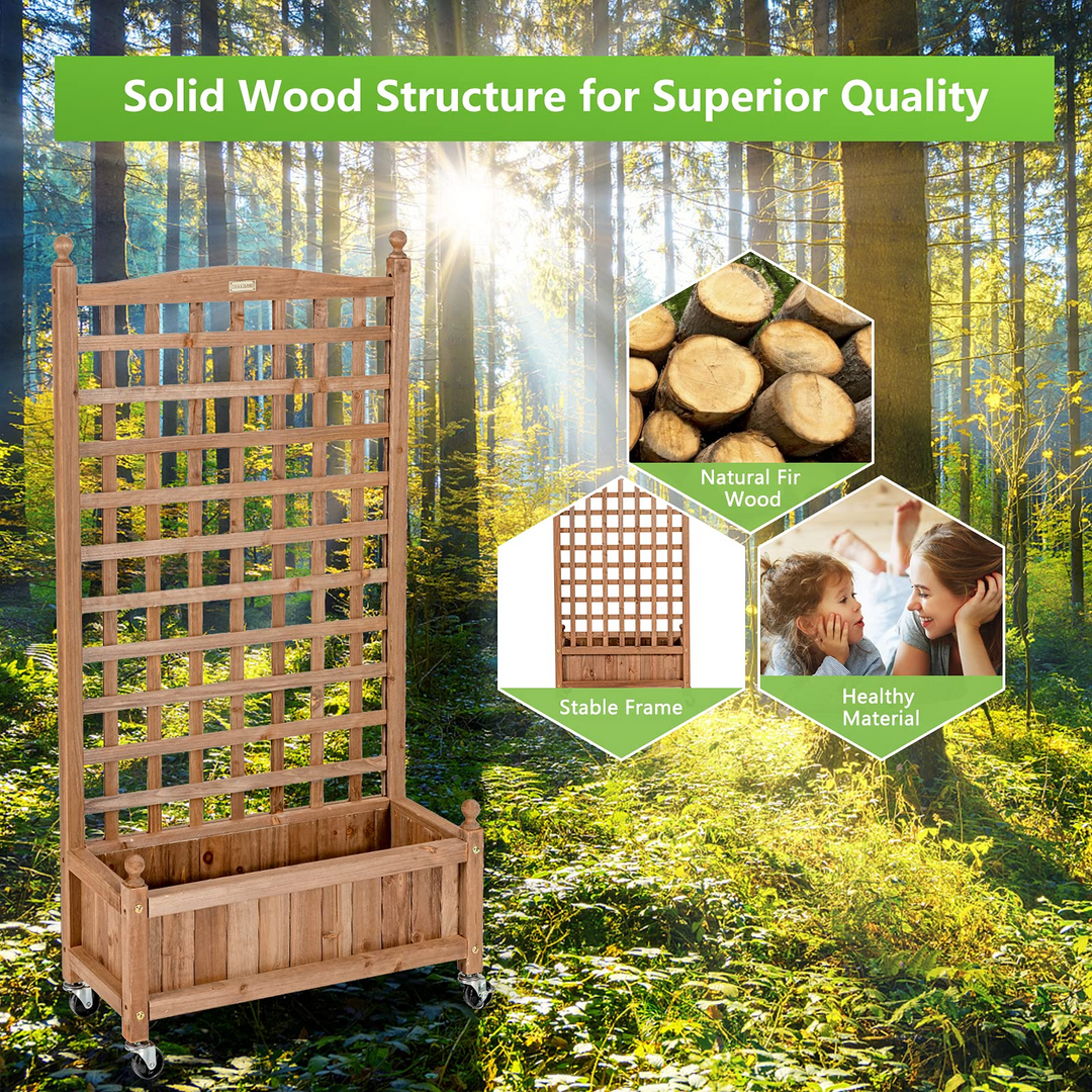 Flower Box for Plant Climbing (25&