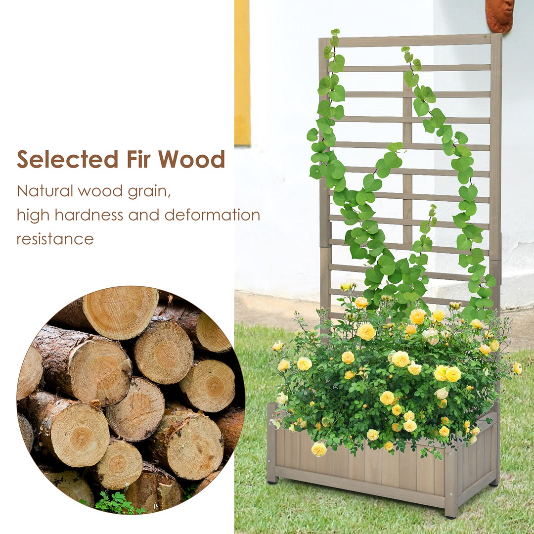Plant Raised Bed with Trellis for Flower Climbing