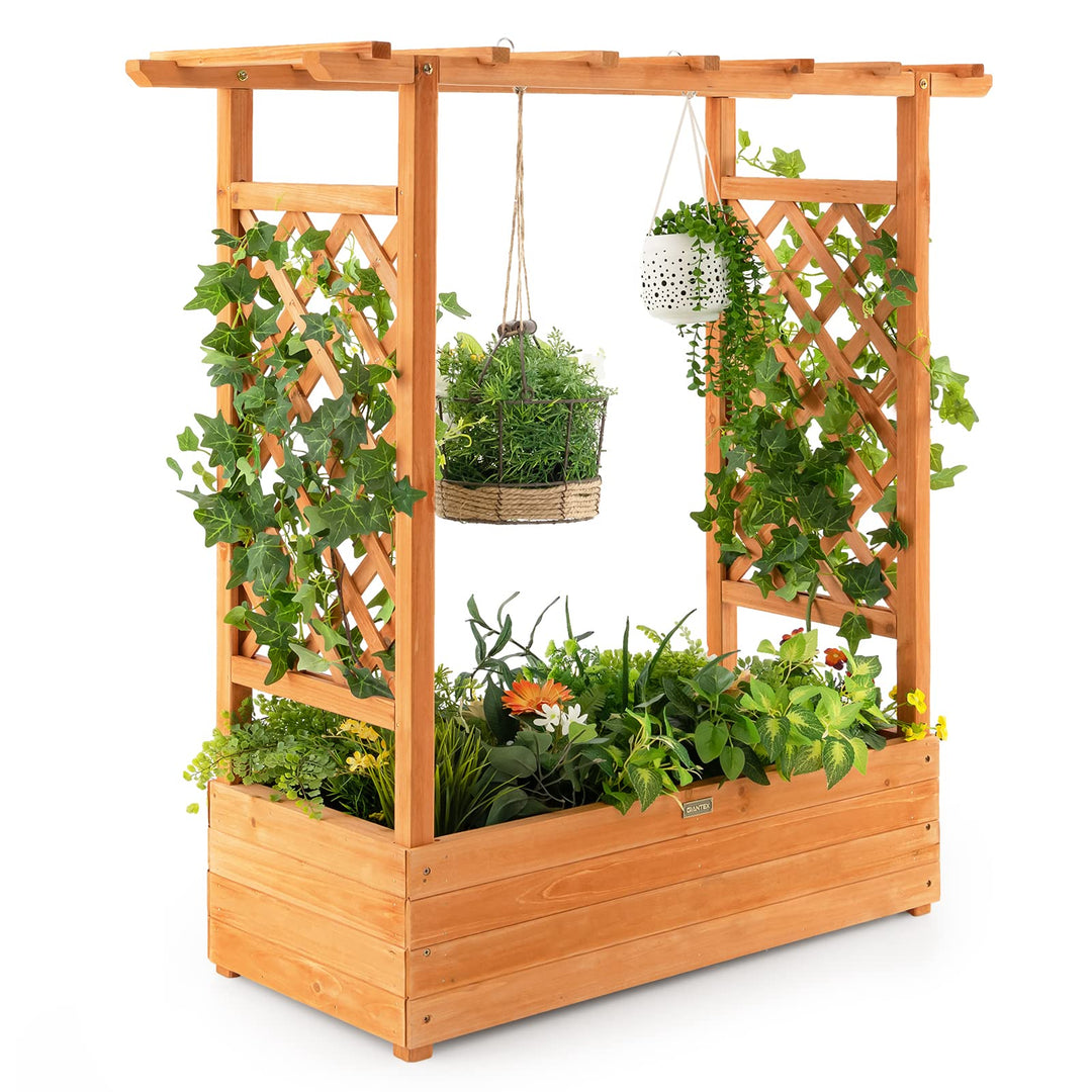 Giantex Raised Garden Bed with Trellis, Wood Planter Box with Roof &amp; Side Trellis, Drain Holes